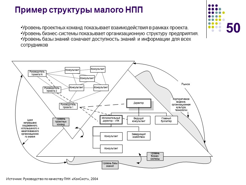50 Пример структуры малого НПП Источник: Руководство по качеству ПНН «КонСист», 2004 Уровень проектных